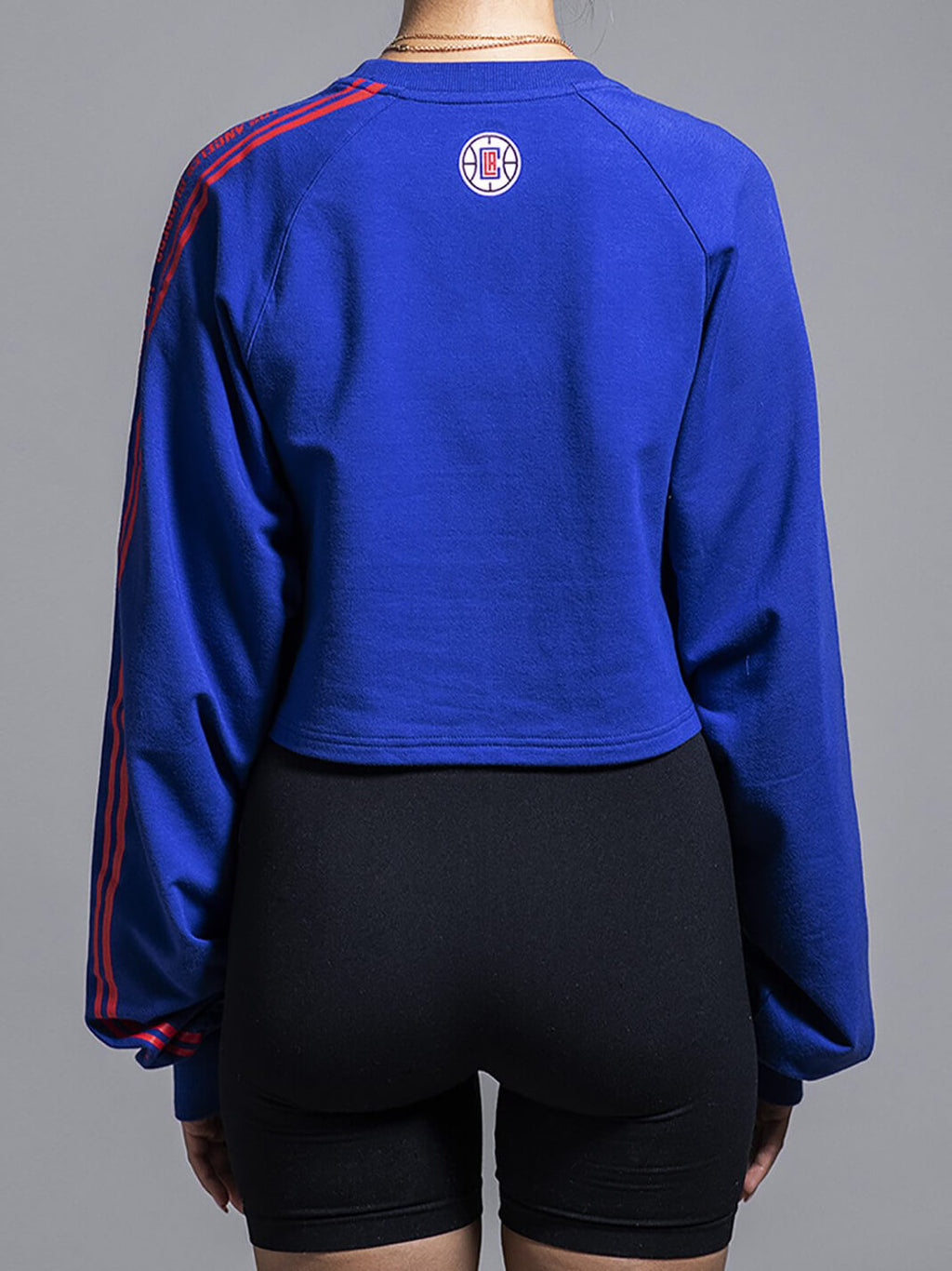 Los Angeles Clippers Team Crop