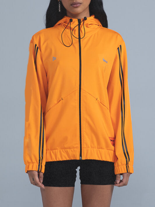 New York Knicks Everyday Team Jacket